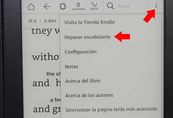 "Repasar vocabulario" muestra las palabras buscadas en el diccionario